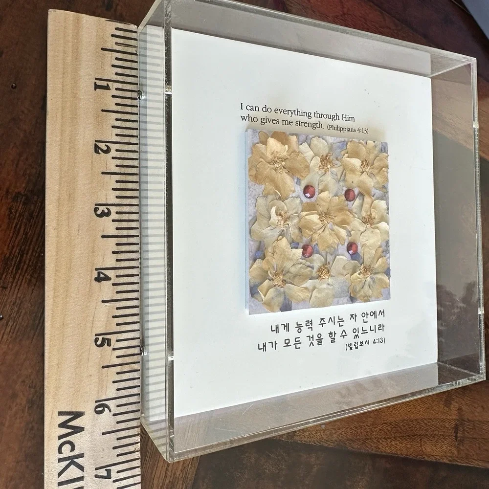 Art Wall Frame 6.5 Inch Press Flower I Can Do Everything Through Him Philip 4.13